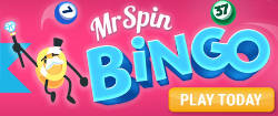 Mr spin logo